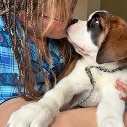 Light Yellow Collar - Orange and white male Saint Bernard puppy in Double Springs, Alabama from St Bernard Kingdom, LLC