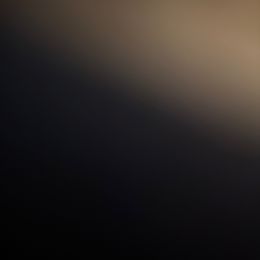 Red - Gray female Cane Corso puppy in Opelousas, Louisiana from Azelees Cane Corso