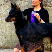 Beaucerons from RiverStyx Beaucerons