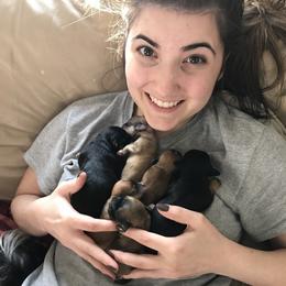 Havanese Puppies from Selah Havanese