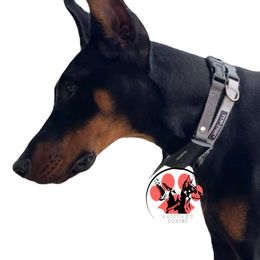 Myla - Black and rust female Doberman Pinscher puppy in Canton, Ohio from Aaliyah’s Dobies