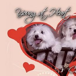 Cotons de Tulear from Young at Heart Cotons