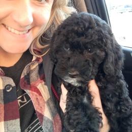 Cockapoo Puppies from Ouachita River Cockapoos