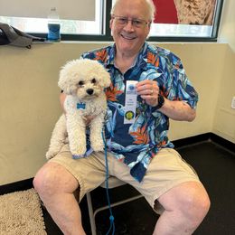 Bichon Frise Puppies from Blooming Bichons