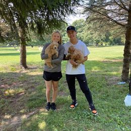 Bernedoodle, Bernese Mountain Dog, and Goldendoodle Puppies from Pleasant Acre Farms
