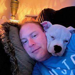 American Bulldog Puppies from Slayton's American Bulldogs