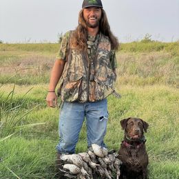 Labrador Retrievers from KB Farms