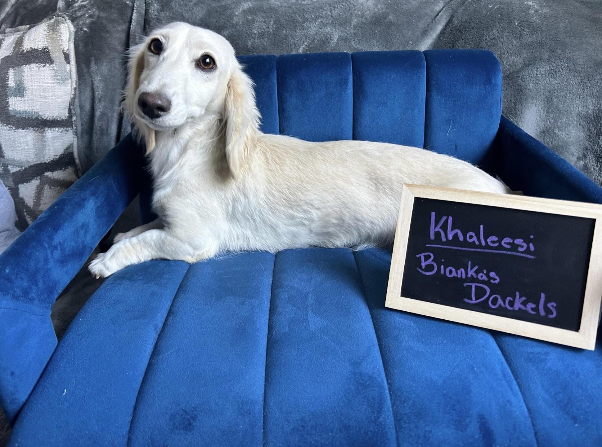 Khaleesei