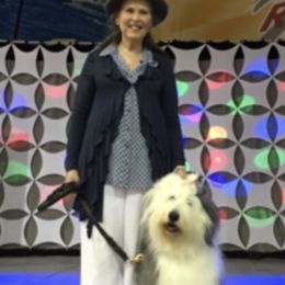 Old English Sheepdogs from Shaggey Paws