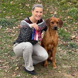 Rhodesian Ridgeback Puppies from Supernova Ridgebacks