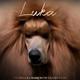 Luka