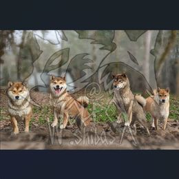 Shiba Inu from WOLFOX shiba inu