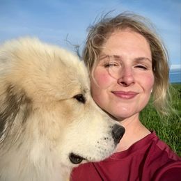 Sheamus - Great Pyrenees