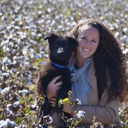 German Shepherd Puppies from Haus Godwin