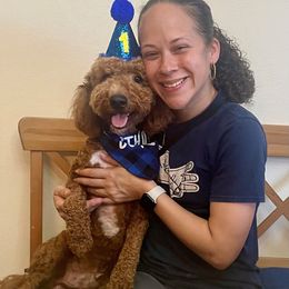 Goldendoodle Puppies from Furever Doodle