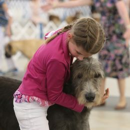 Irish Wolfhound All Grown Up from Cu Caiseal Irish Wolfhounds