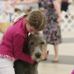 Irish Wolfhound All Grown Up from Cu Caiseal Irish Wolfhounds
