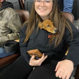 Dachshund Puppies from M & M Breeding