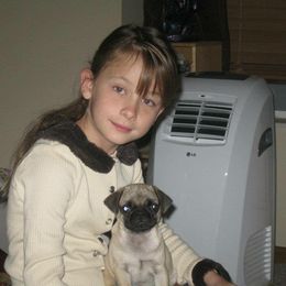 Pug Puppies from Dixie Pugs of Tn