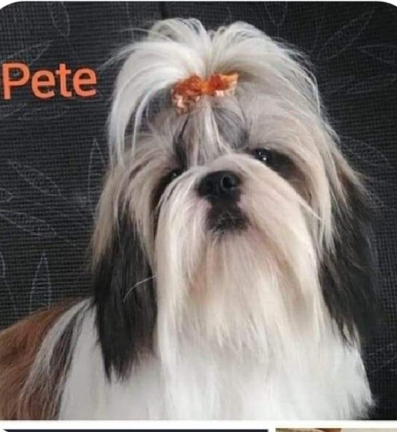 Pete