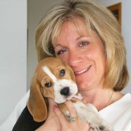 Beagle Puppies from Alpenglow Beagles