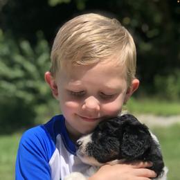 Aussiedoodle Puppies from Our Appalachian Doodles