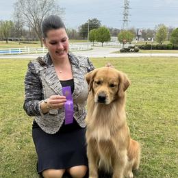 Maeve - Golden Retriever