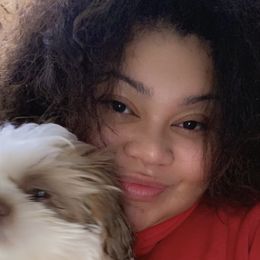 Shih Tzu Puppies from Casa de Santiago