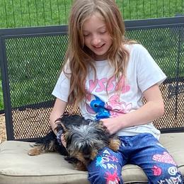 Carlee AKC full rights - Black and tan female Yorkshire Terrier puppy in Elizabethtown, Kentucky from Teeny Tiny Puppy Tails