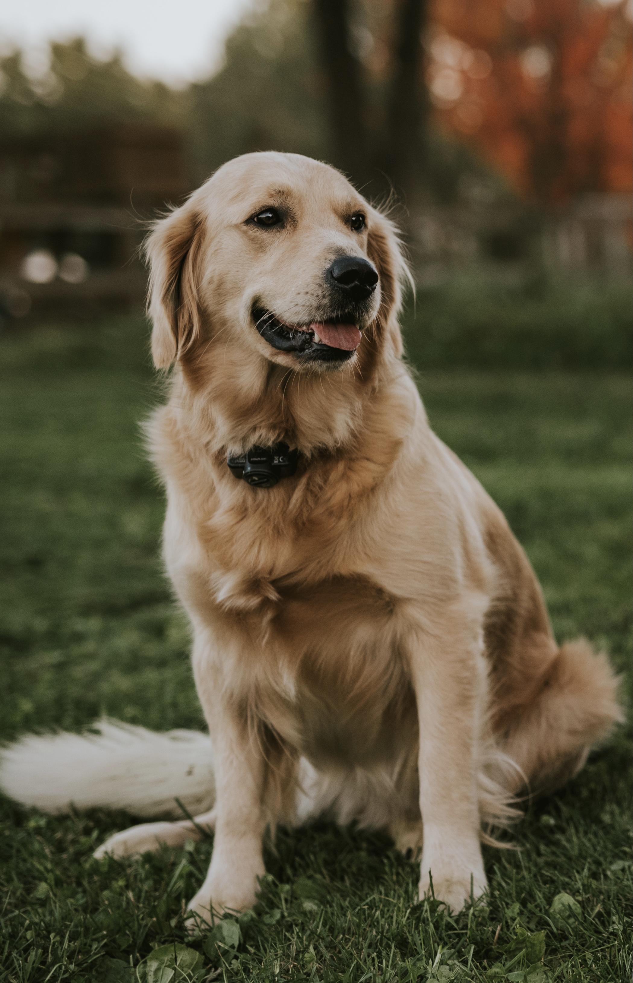 Maggie
