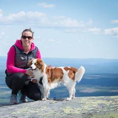 Nederlandse Kooikerhondje Puppies from LoWi kooikers