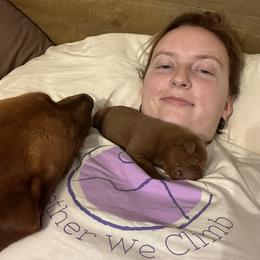 Labrador Retriever Puppies from Fia Red Retrievers