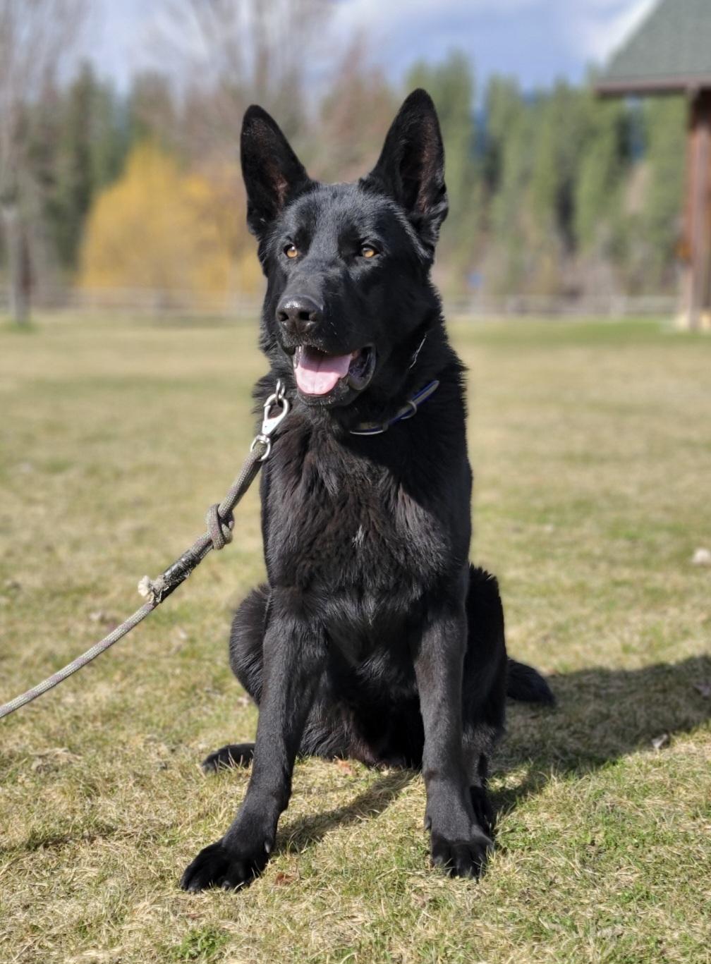 Diego