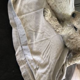 Aussiedoodle, Bernedoodle, and Poodle Puppies from Megan’s Spoiled Standards