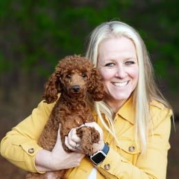Poodle and West Highland White Terrier All Grown Up from JJs Puppies of the Carolinas