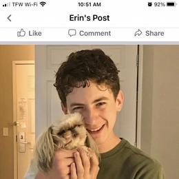 Shih Tzu Puppies from Willow Lane Shih Tzus