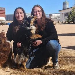 Miniature Australian Shepherds from Evergreen Aussies