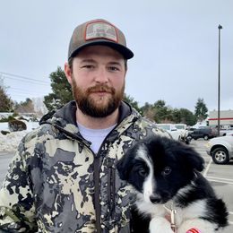 Border Collie Puppies from Cross K Working Collies - Pure Bred Border Collies