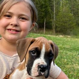 Boxers from Triple W Boxers