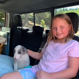 Border Collie Puppies from Cascade Sun Kennels