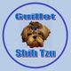 Guillot Shih Tzu