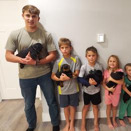 Rottweiler Puppies from White Haus Rottweilers