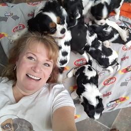 Cavalier King Charles Spaniel Puppies from Jina Ezell