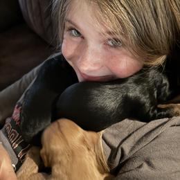 Cavalier King Charles Spaniel Puppies from 5dubs Cavaliers