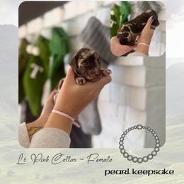 Pearl Keepsake - Lt Pink Collar - Merle female Goldendoodle puppy in Garland, Texas from Twilight Doodles