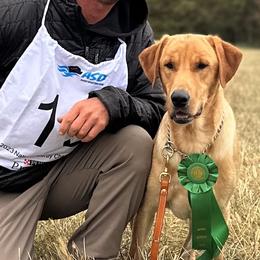 Labrador Retriever puppies from Coram Deo Retrievers