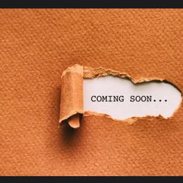 Matthew - Parti male Poodle puppy in Chipley, Florida from Nokoluma