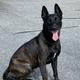Ragnor
