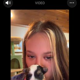 Gogh - Black & tan tri-color male Morkie puppy in Aliquippa, Pennsylvania from The Morkie Mom