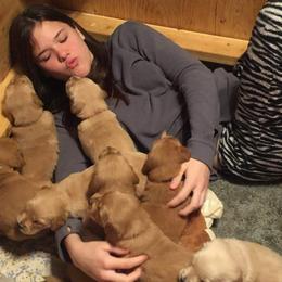 Golden Retriever Puppies from Goldens of Hamm Hollow
